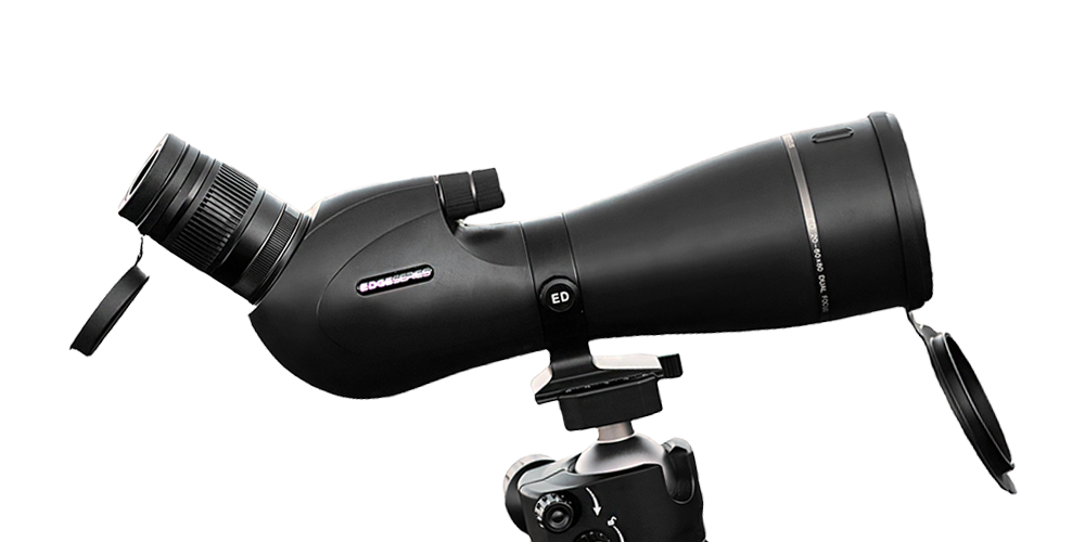Telson Tripod & Ballhead Combo