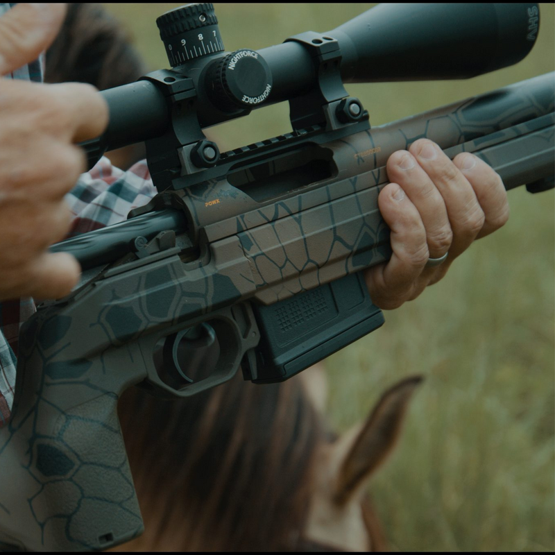 Precision Rifles