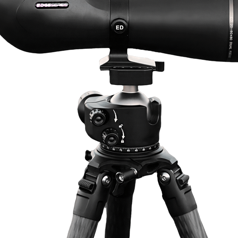 Telson Tripod & Ballhead Combo