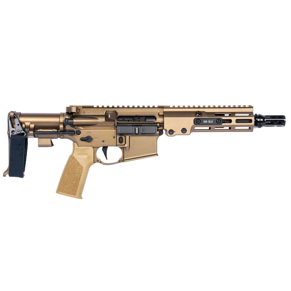 Geissele Defense Pistol (GDP) (19)